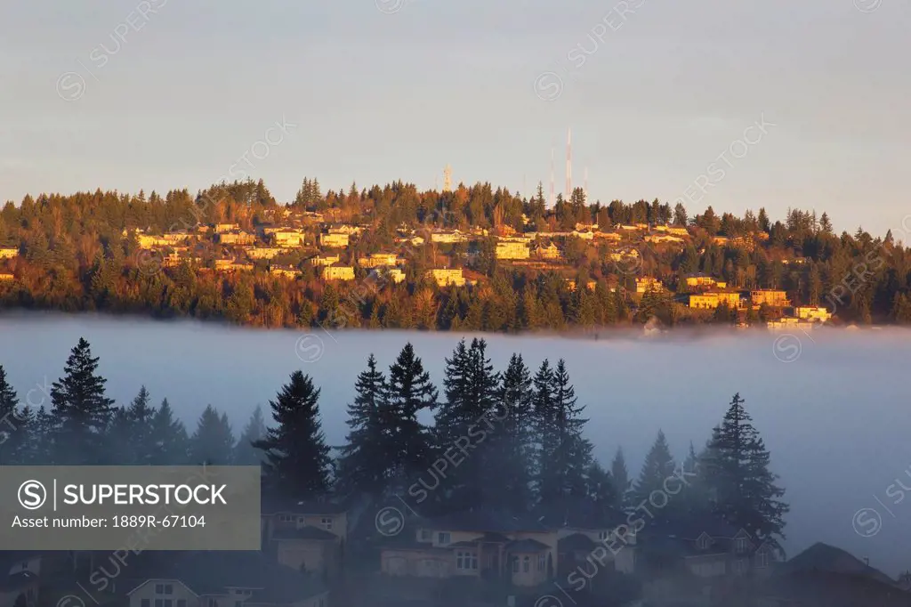 houses on a hill through the morning fog, happy valley, oregon, united states of america
