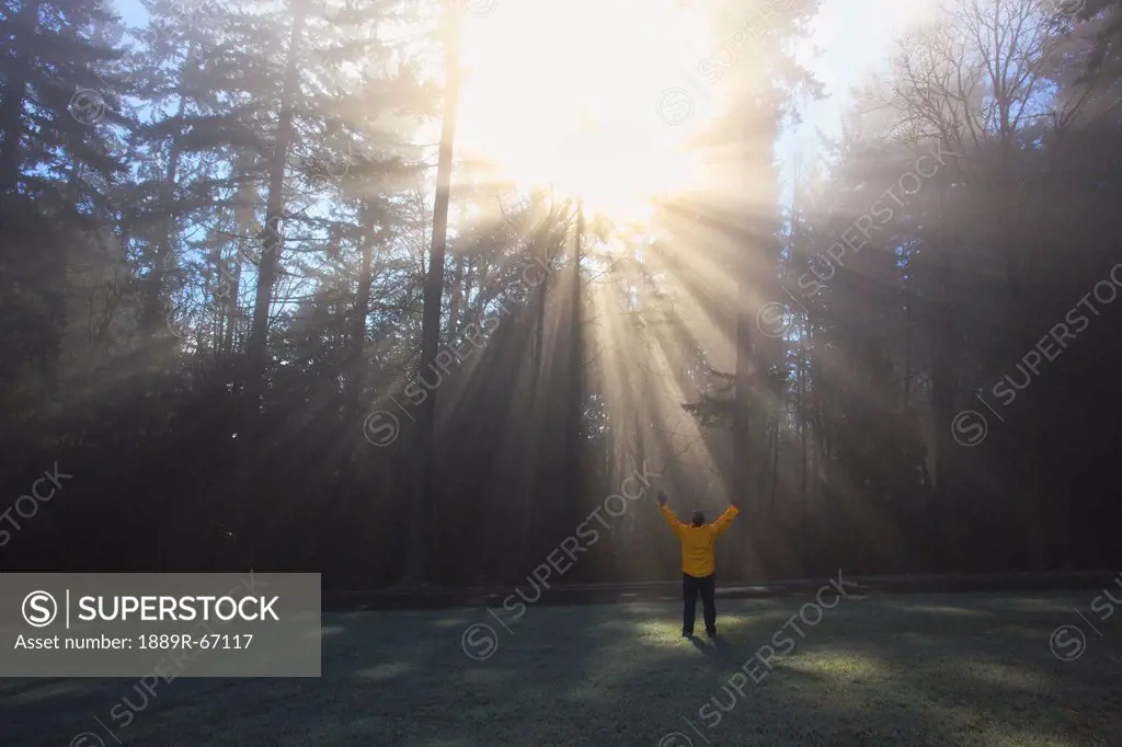 a person raises their arms to the sun shining through morning fog and trees, happy valley, oregon, united states of america