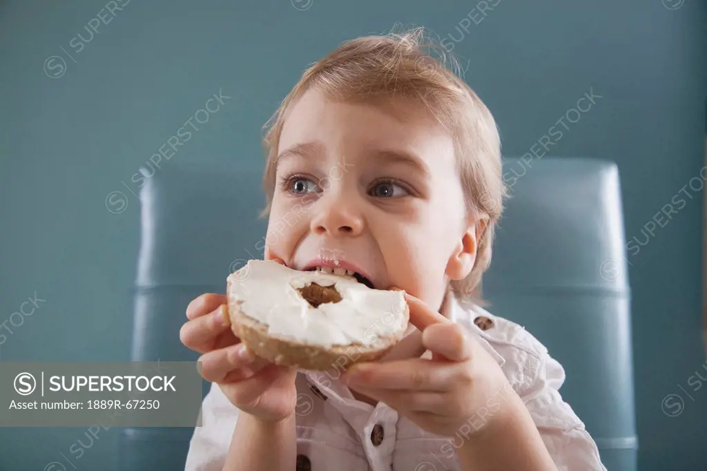 toddler biting a bagel with cream cheese, jordan, ontario, canada