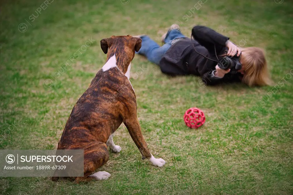 young woman photographing a boxer dog