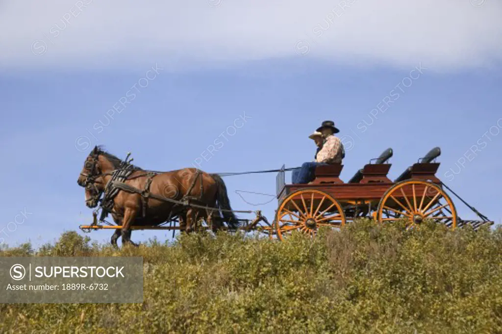 Travel by horse and buggy