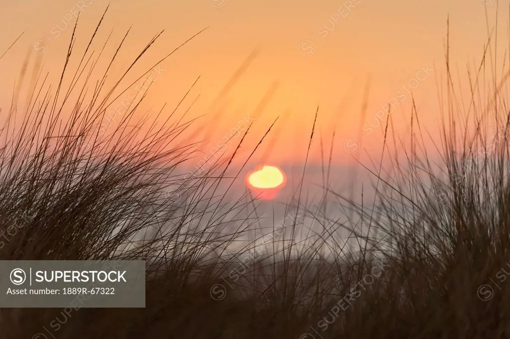 sunset seen through the grass on dos mares beach, tarifa, costa de la luz, cadiz, andalusia, spain