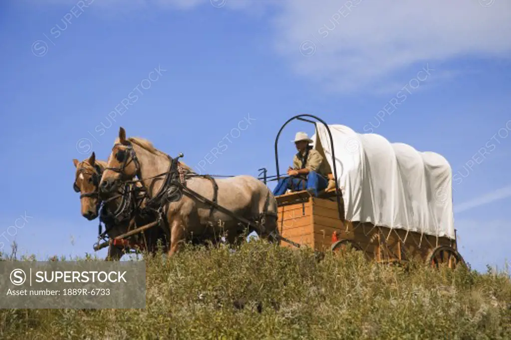 Traveling by horse and carriage