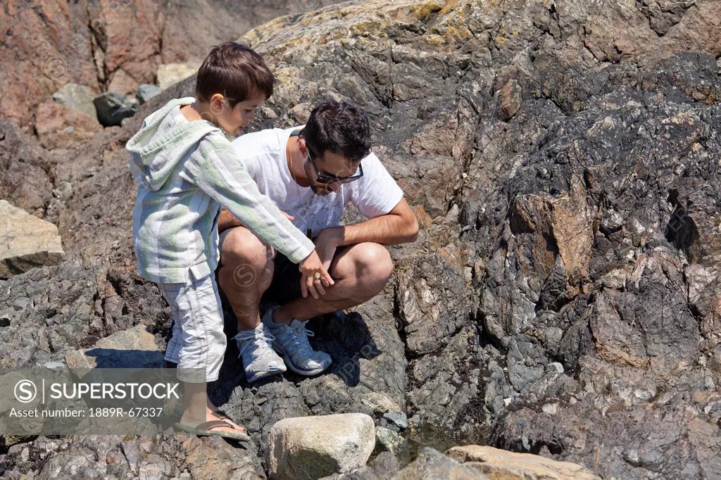 father and son exploring shoreline along bc coast, british columbia, canada