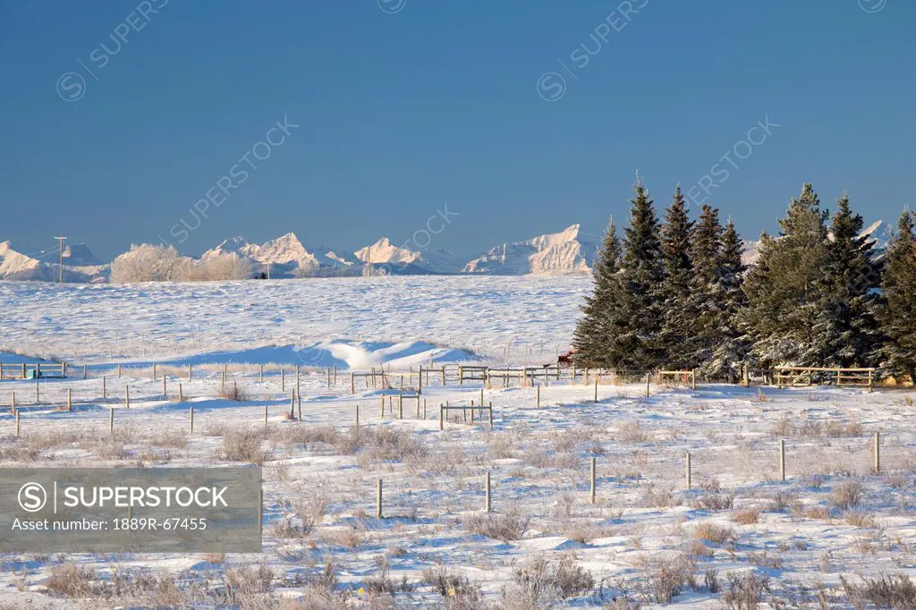 fencing and snowy field against canadian rockies, cochrane, alberta, canada