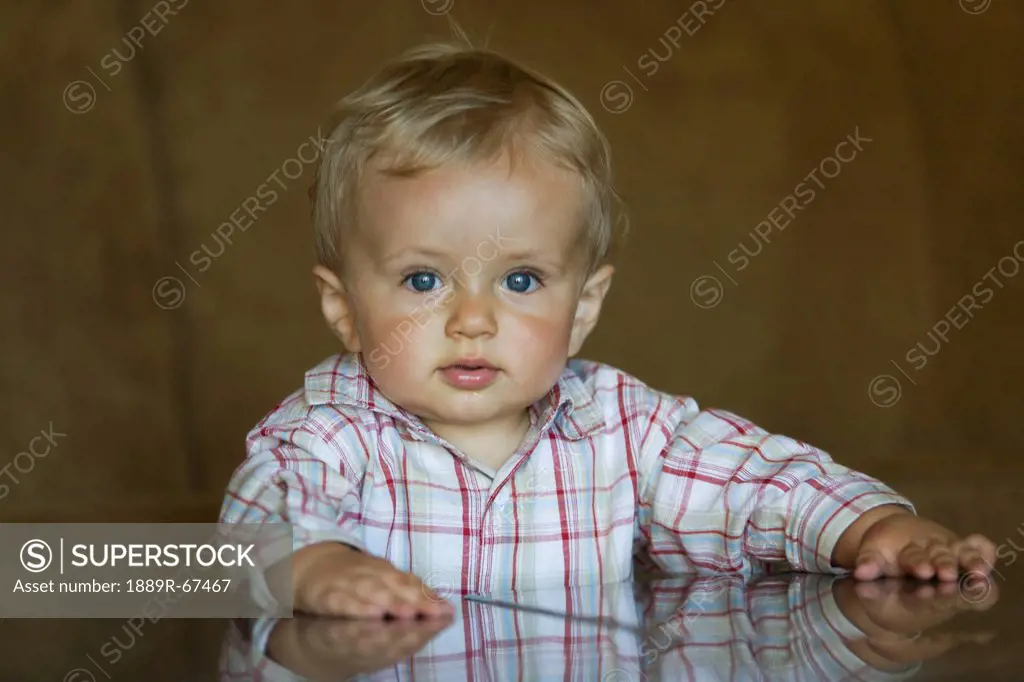 portrait of blue_eyed blonde male toddler