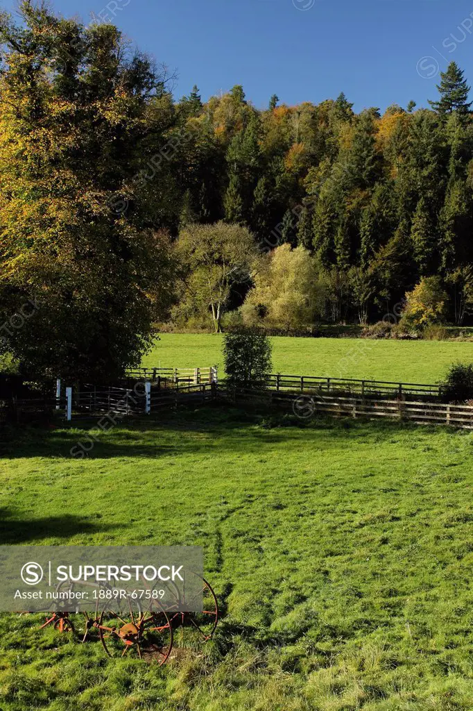 rural scene in the nore river valley, inistioge, county kilkenny, ireland