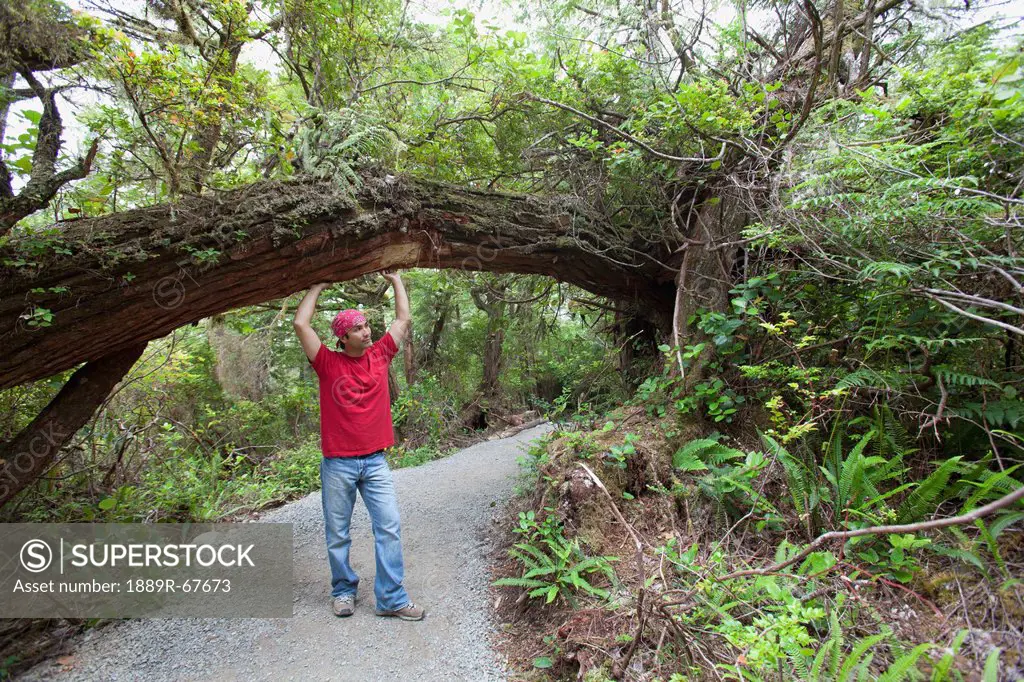 a man enjoys his hike along the wild pacific trail on vancouver island, ucluelet, british columbia, canada
