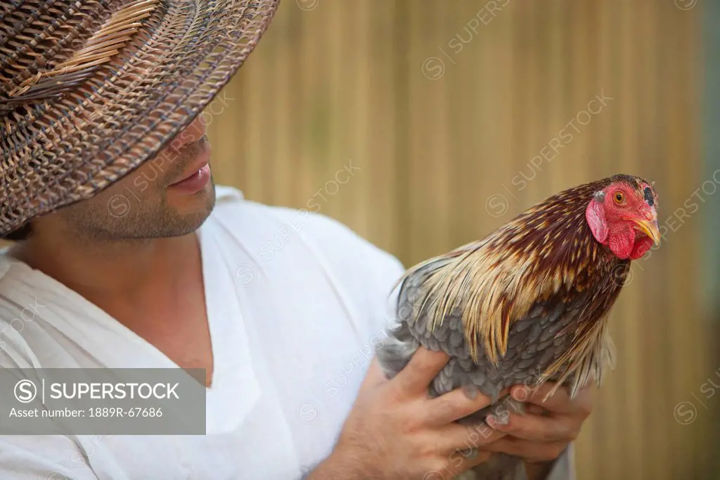 a farmer holds an adult hen, bohol, philippines
