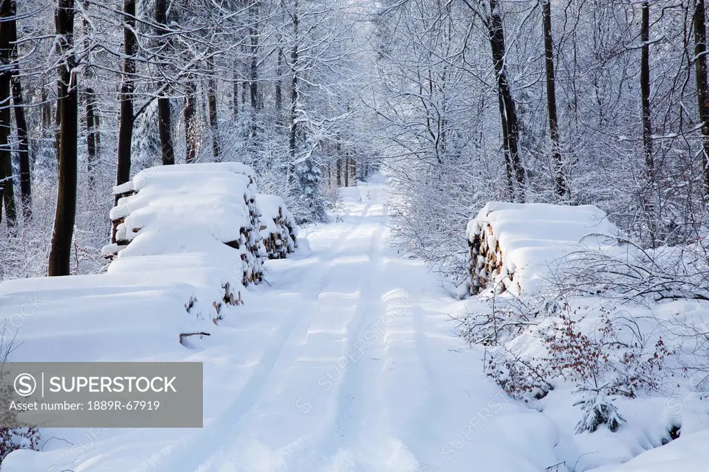 snowy lane, westerwald rhineland_palatinate germany