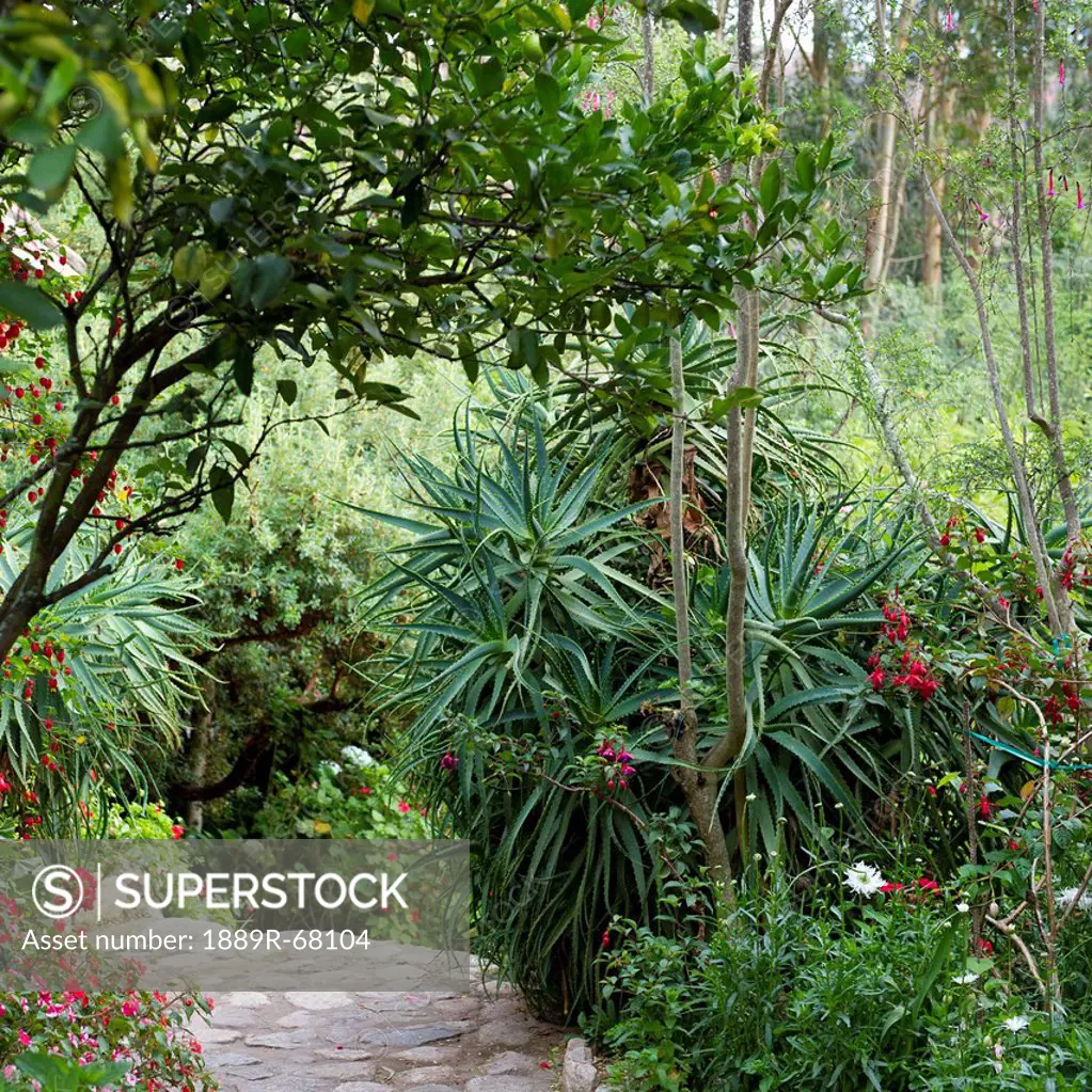 garden path in spiritual retreat willka t´ika, sacred valley peru