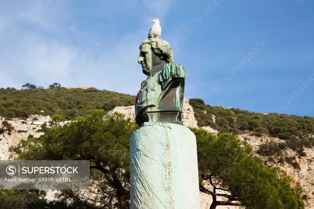 seagull perched on monument, gibraltar united kingdom