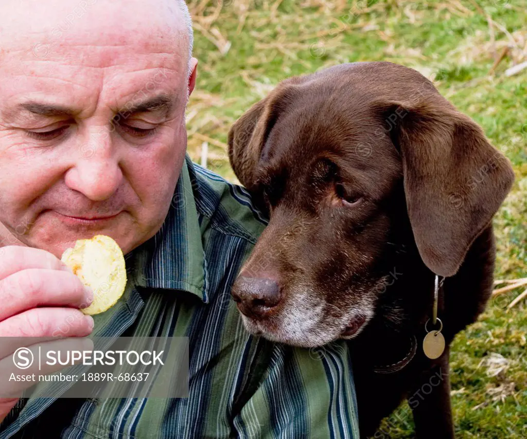 dog anxiously looking at a snack held in a man´s hand, pooley bridge lake district cumbria england