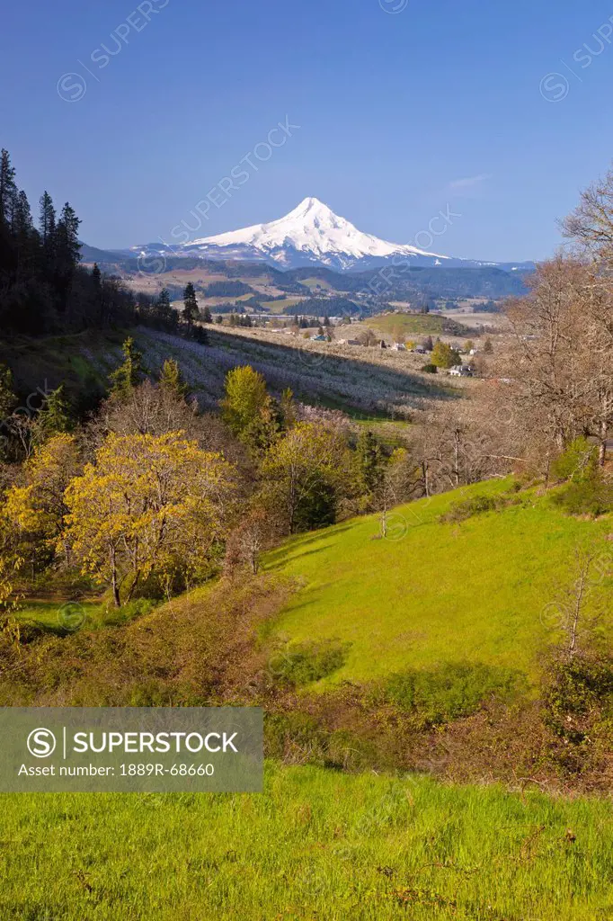 mount hood in the columbia river gorge, oregon united states of america