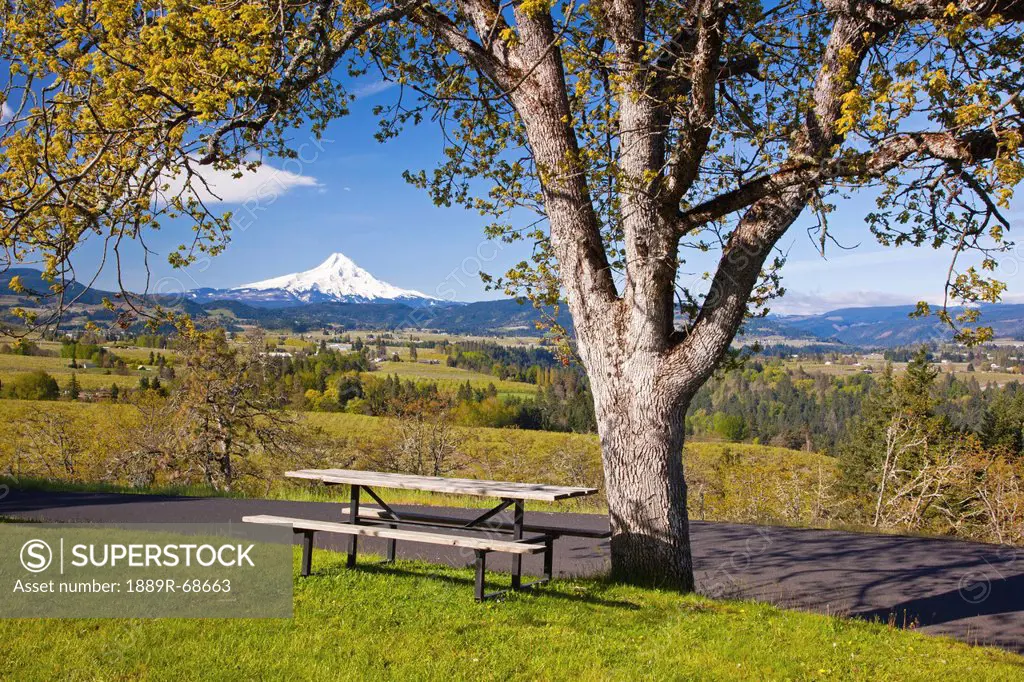 a path and picnic table in panorama park with a view of mount hood and hood river valley, oregon united states of america