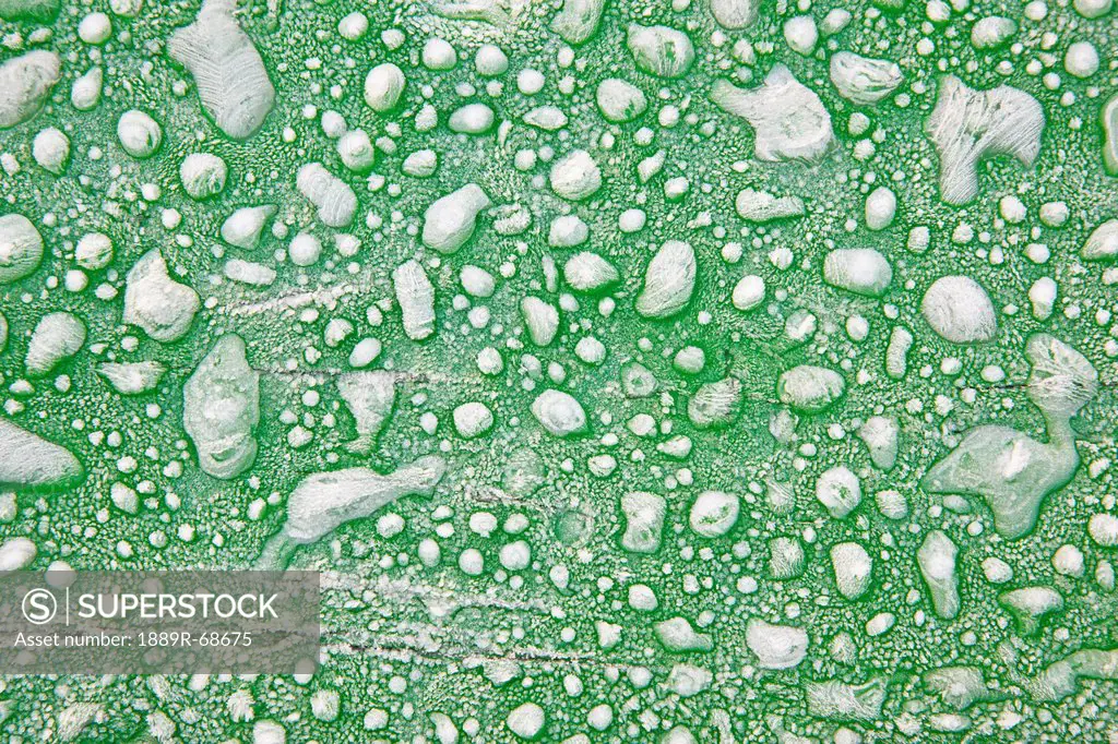 close_up of frost on picnic table at wooden shoe tulip farm, woodburn oregon