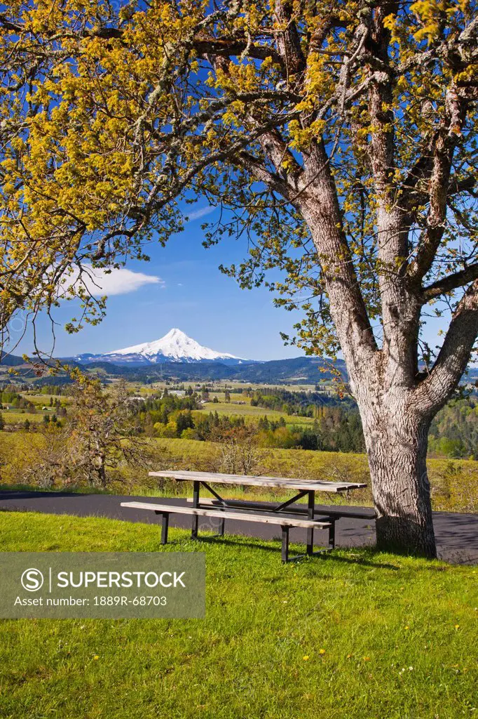 view of mount hood and the hood river valley from panorama park in the columbia river gorge, oregon united states of america