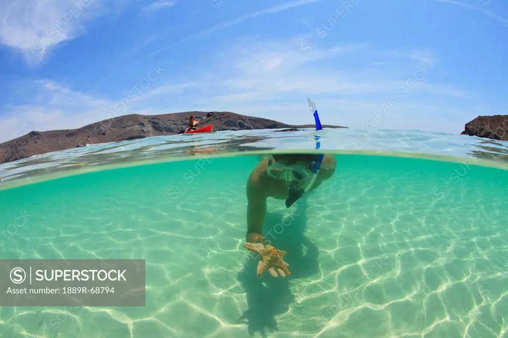 a young man snorkeling underwater holding a starfish in his hand, la paz baja california sur mexico