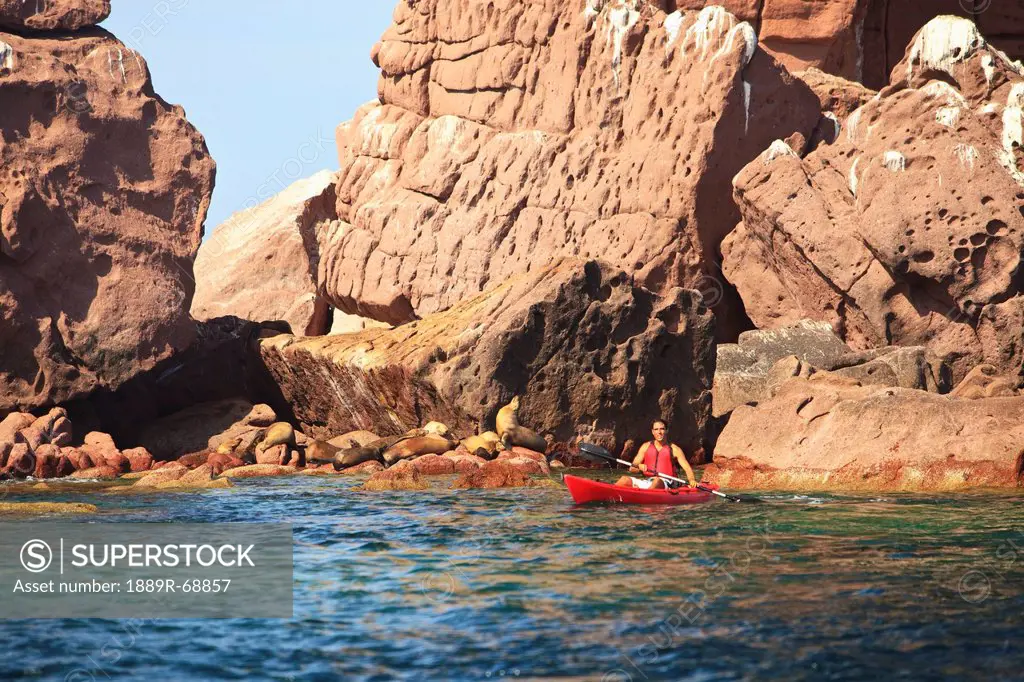 a tourist paddles in a red boat at los islotes national marine park espiritu santo island, la paz baja california mexico
