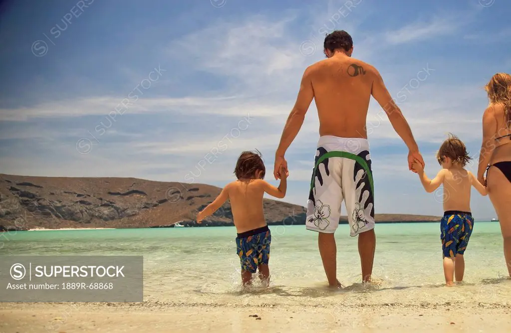 a family walks in the ocean water at los islotes national marine park espiritu santo island, la paz baja california mexico