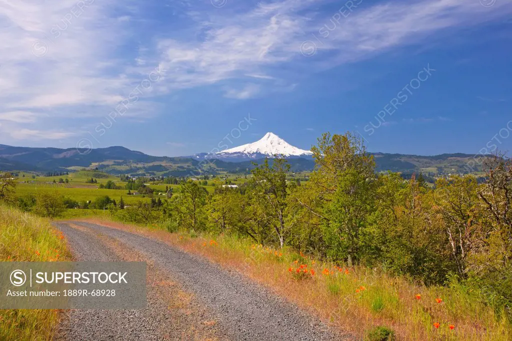 view of mount hood from a gravel road in hood river valley, oregon united states of america