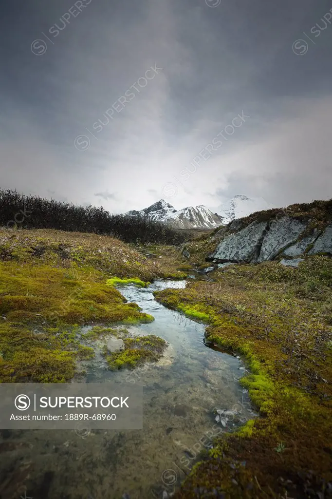 a small stream with a mountain in the background, jasper alberta canada