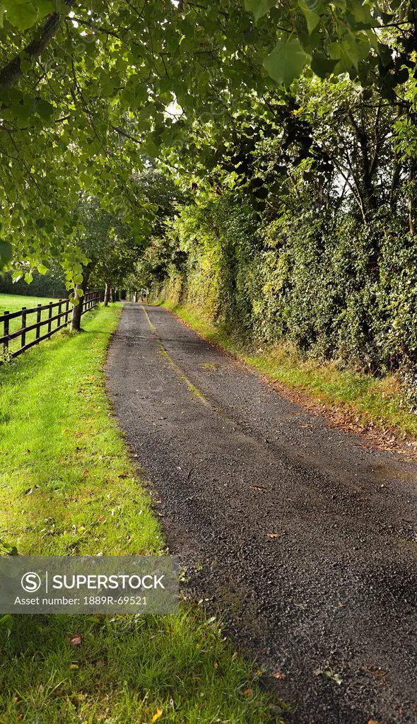 country lane, county kilkenny ireland