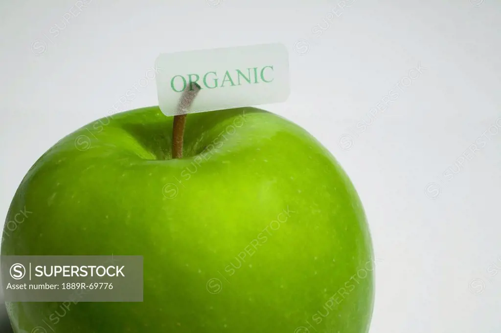 Granny Smith Apple With An Organic Label, Waterloo Quebec Canada