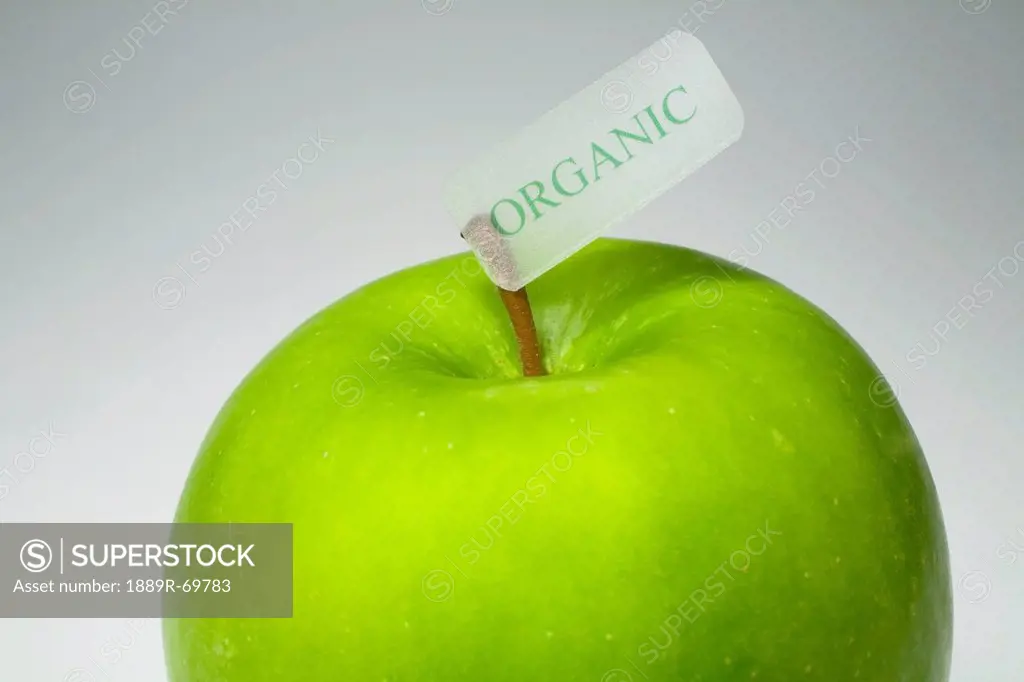 A Granny Smith Apple With An Organic Label On The Stem, Waterloo Quebec Canada
