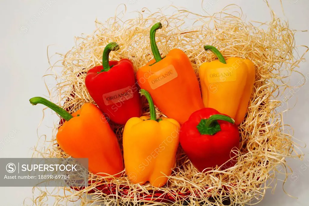 Red Yellow And Orange Bell Peppers In Basket With Organic Labels, Waterloo Quebec Canada