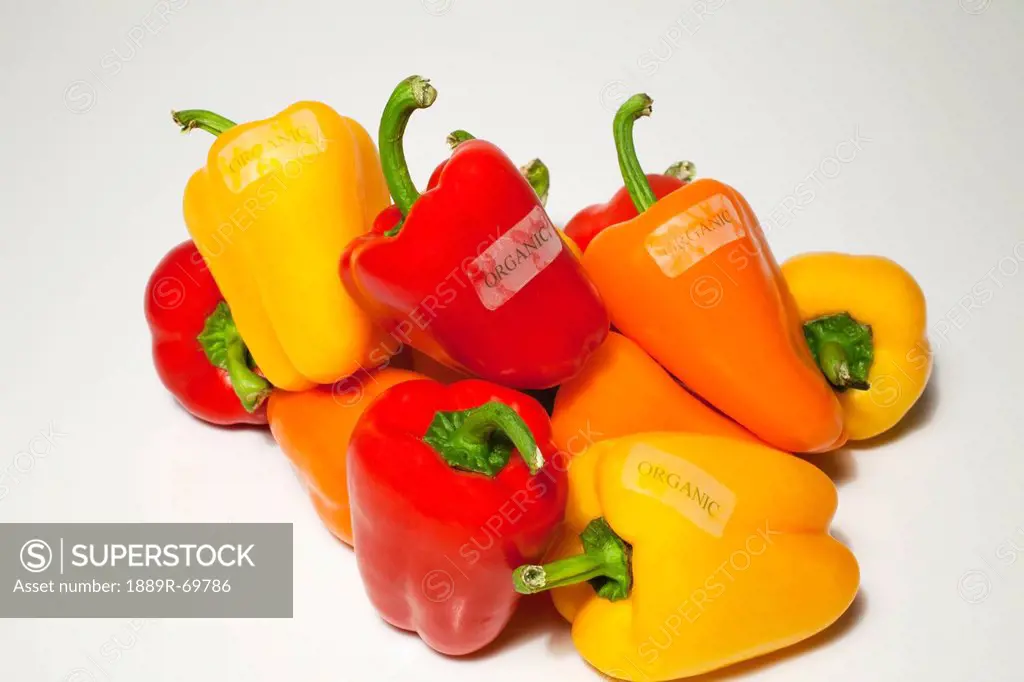 Bell Peppers With Organic Labels, Waterloo Quebec Canada