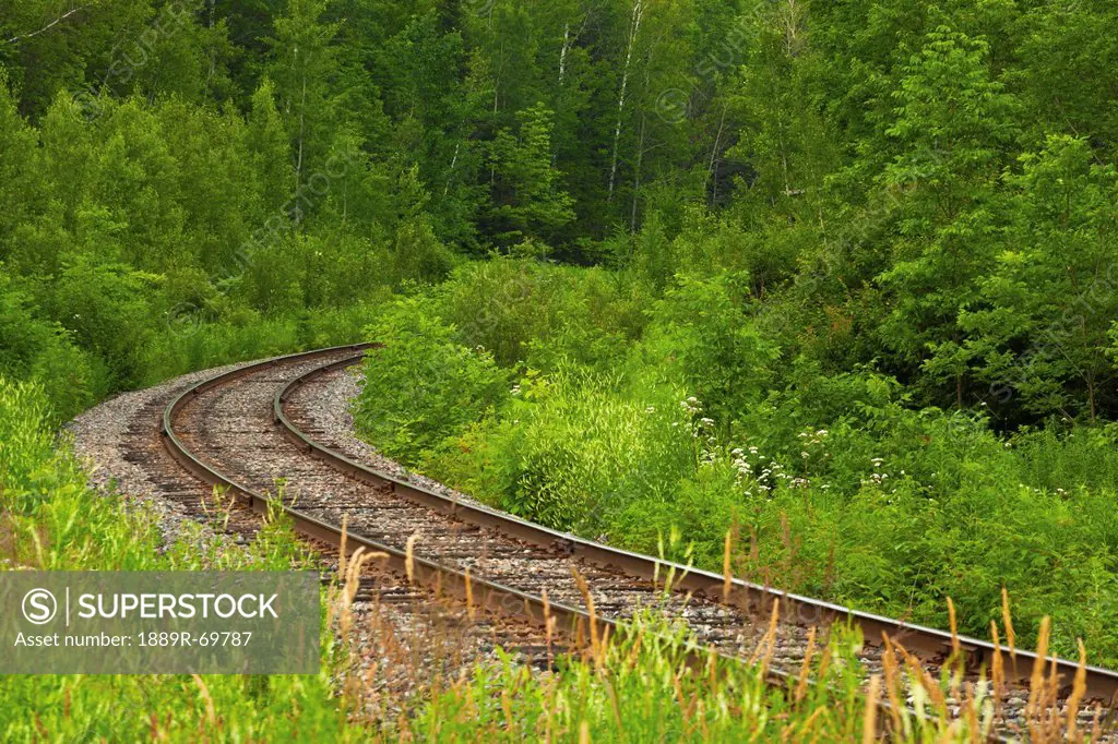 Railroad Tracks Running Through A Forested Area, Fulford Quebec Canada