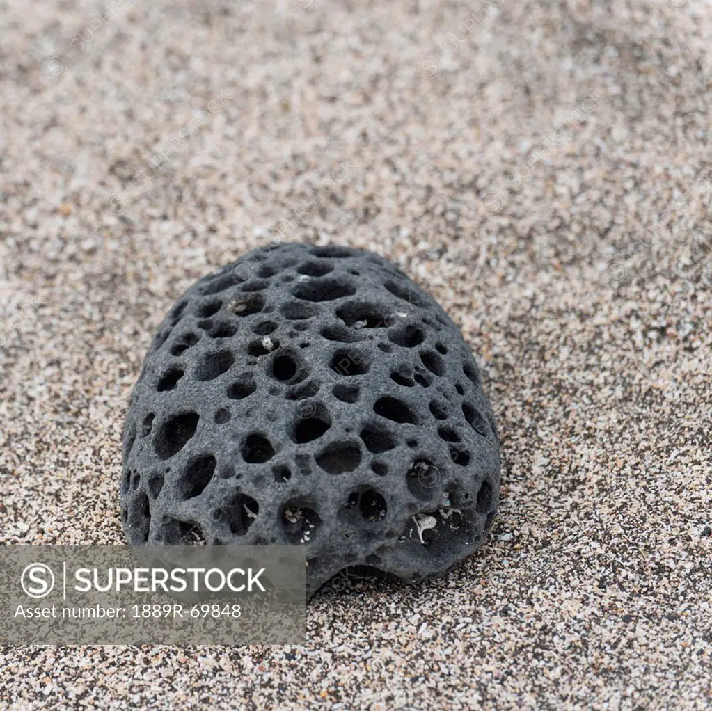 a rock with holes through it sitting on the beach, galapagos, equador