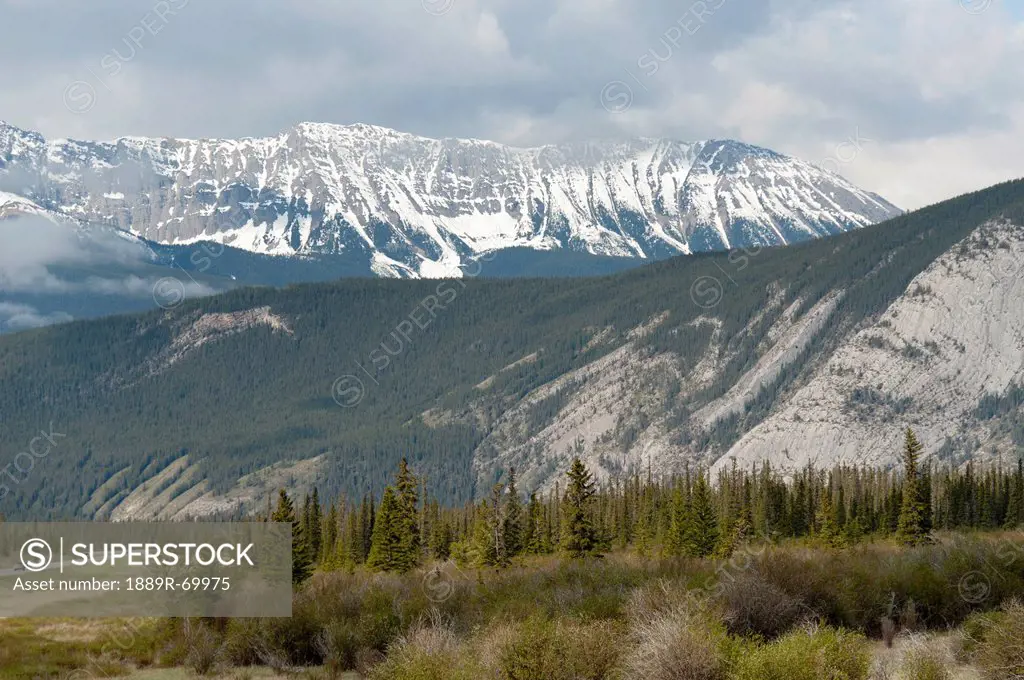 canadian rocky mountains, jasper, alberta, canada
