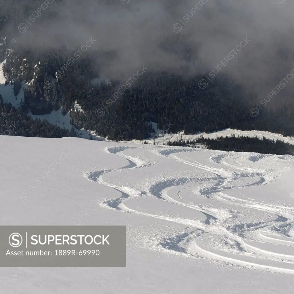 ski tracks in the snow, whistler, british columbia, canada