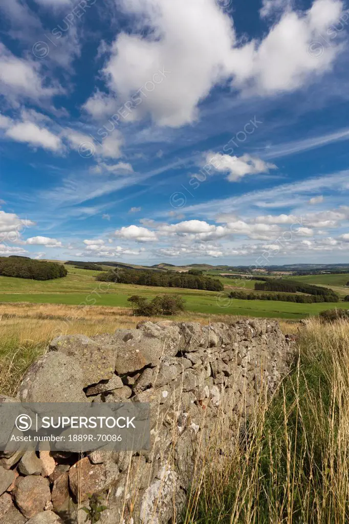 a stone fence in a rural area, northumberland england