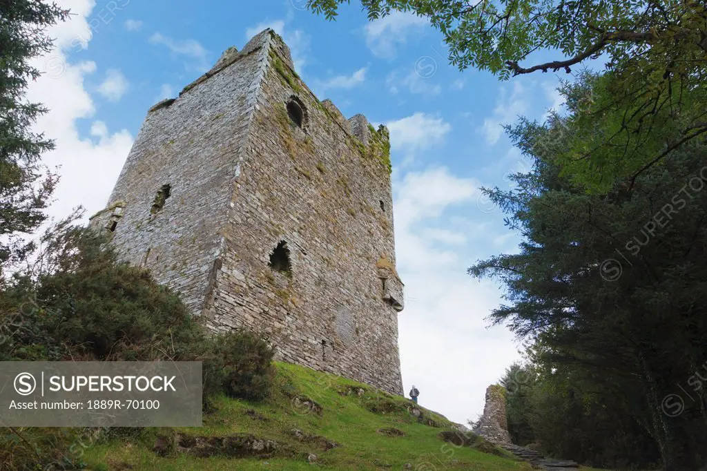 ballynacarriga castle, county cork ireland