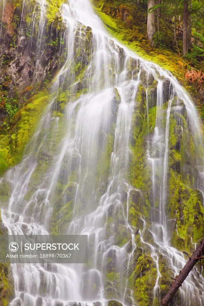 proxy falls in willamette national forest, oregon united states of america