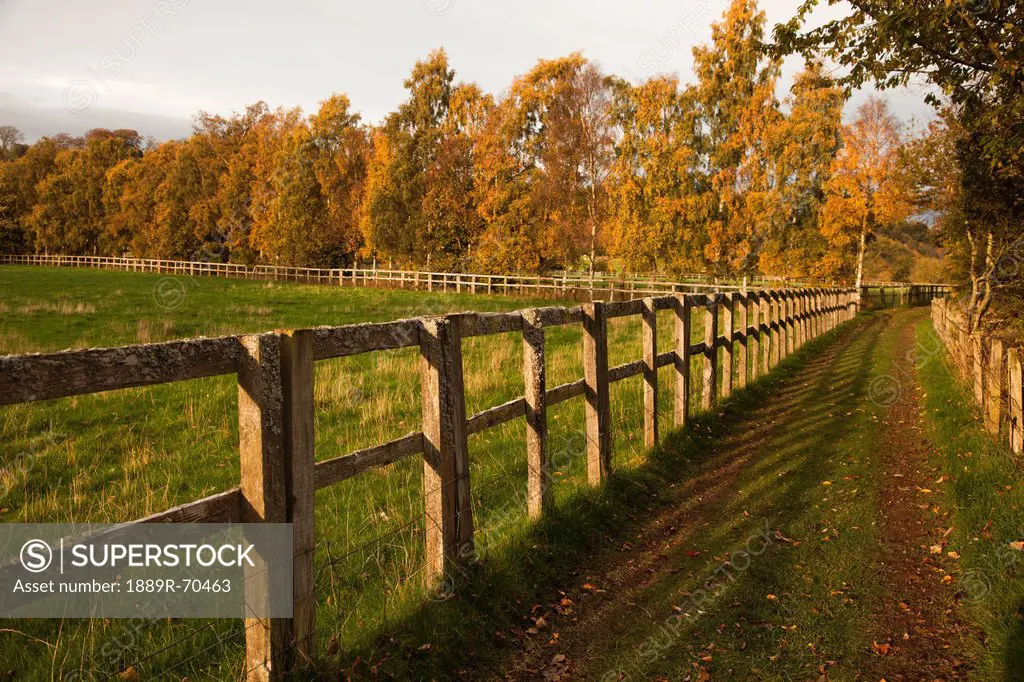 tire tracks along a fence in a rural area in autumn, scottish borders scotland