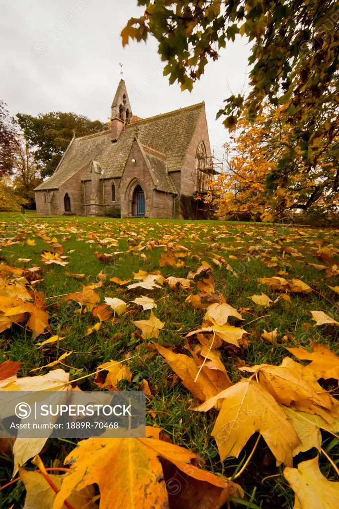 fallen leaves on the grass in autumn with a church building in the background, northumberland england