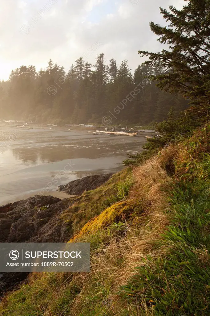 mist and fog form over the beach at incinerator rock area of long beach in pacific rim national park near tofino, british columbia canada