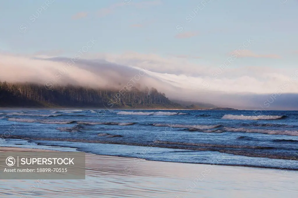 fog forms over the temperate rainforest along long beach in pacific rim national park near tofino, british columbia canada