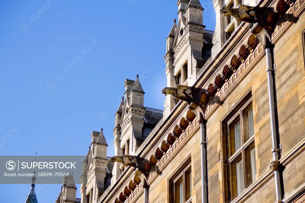gargoyles of gonville and caius college at the university of cambridge, cambridge england