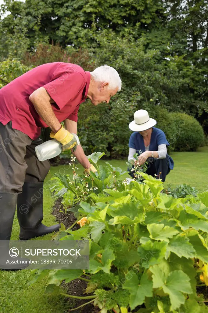 a man and woman working in their garden, naas, county kildare, ireland