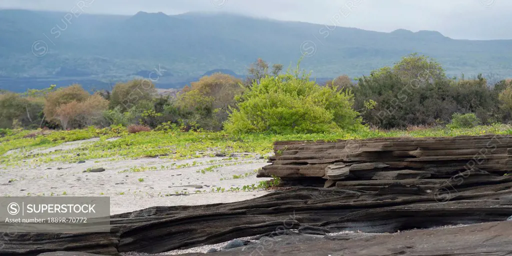 layered rock on santiago island, galapagos, equador
