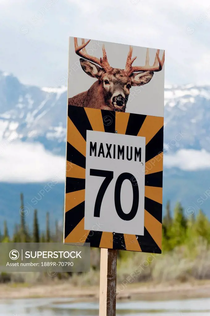 a speed limit sign with a warning of deer crossing, jasper, alberta, canada