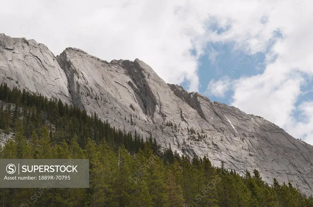 the canadian rocky mountains in jasper national park, jasper, alberta, canada