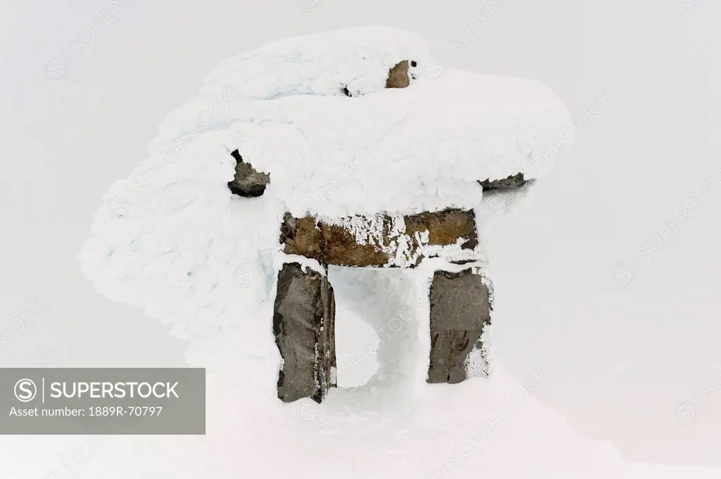 snow covering a tree stump, whistler, british columbia, canada
