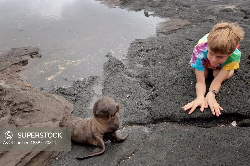 a boy kneels on the beach watching a sea lion beside him, galapagos equador