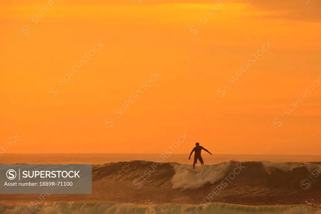 a surfer on a wave at dusk, baja california sur mexico